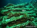 foto de buceo