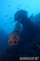 foto de buceo