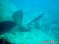 foto de buceo