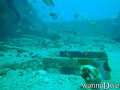 foto de buceo