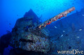 foto de buceo