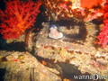 foto de buceo