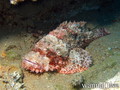 foto de buceo