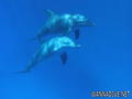 foto de buceo