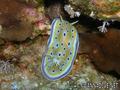 foto de buceo