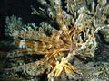 foto de buceo
