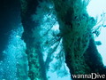 foto de buceo