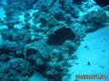 foto de buceo