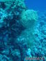 foto de buceo