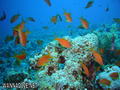 foto de buceo