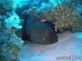 foto de buceo
