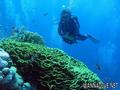 foto de buceo