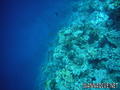 foto de buceo