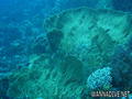 foto de buceo