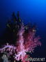 foto de buceo