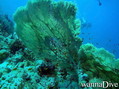 foto de buceo