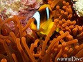 foto de buceo