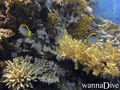 foto de buceo