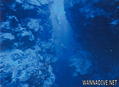 foto de buceo