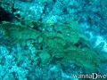 foto de buceo