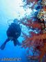 foto de buceo