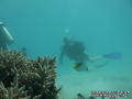 foto de buceo