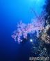 foto de buceo