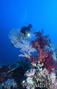 foto de buceo