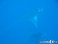 foto de buceo