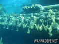 foto de buceo
