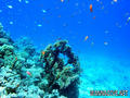 foto de buceo