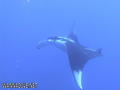 foto de buceo
