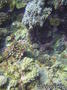 foto de buceo