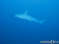 foto de buceo