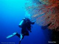 foto de buceo