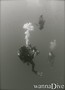 foto de buceo
