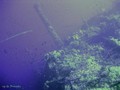 foto de buceo