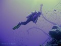 foto de buceo
