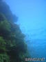 foto de buceo