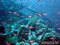 foto de buceo