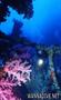 foto de buceo