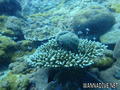 foto de buceo