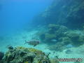foto de buceo