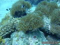 foto de buceo