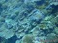 foto de buceo