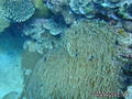 foto de buceo