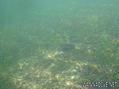 foto de buceo