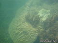 foto de buceo