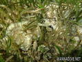 foto de buceo
