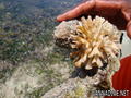 foto de buceo